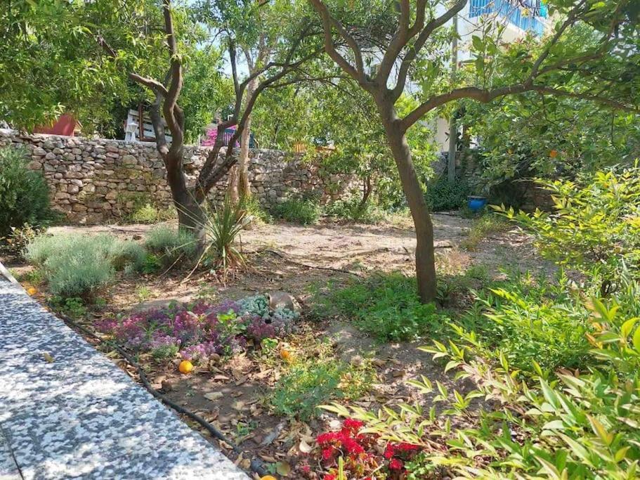 Mel'S Garden House In The Heart Of The City Bodrum Exterior foto