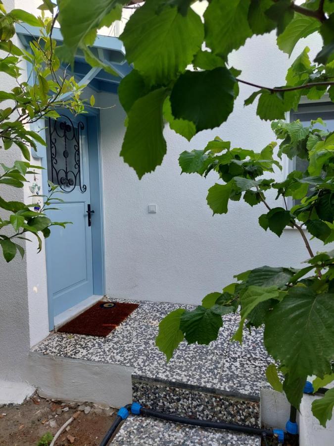 Mel'S Garden House In The Heart Of The City Bodrum Exterior foto